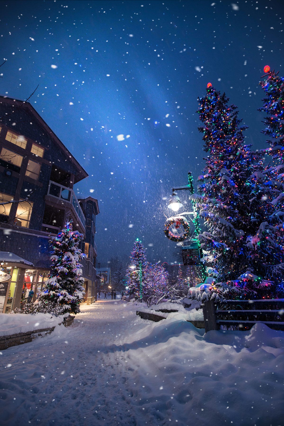 It’s Your Winter Wonderland at The Daily Cuppa | by Katie Michaelson ...