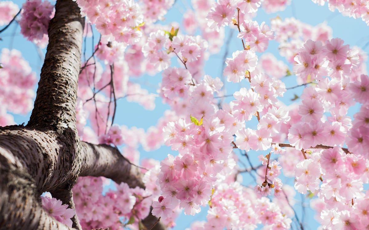 Happiness waits for you A poem. The winter’s grip, it loosens now, A