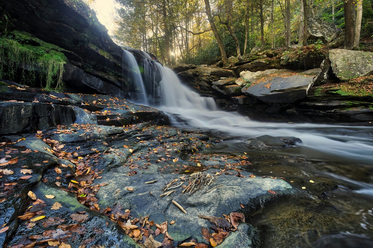 You’ll Love A Meandering Nature Walk With Me | by Heather Bradford ...