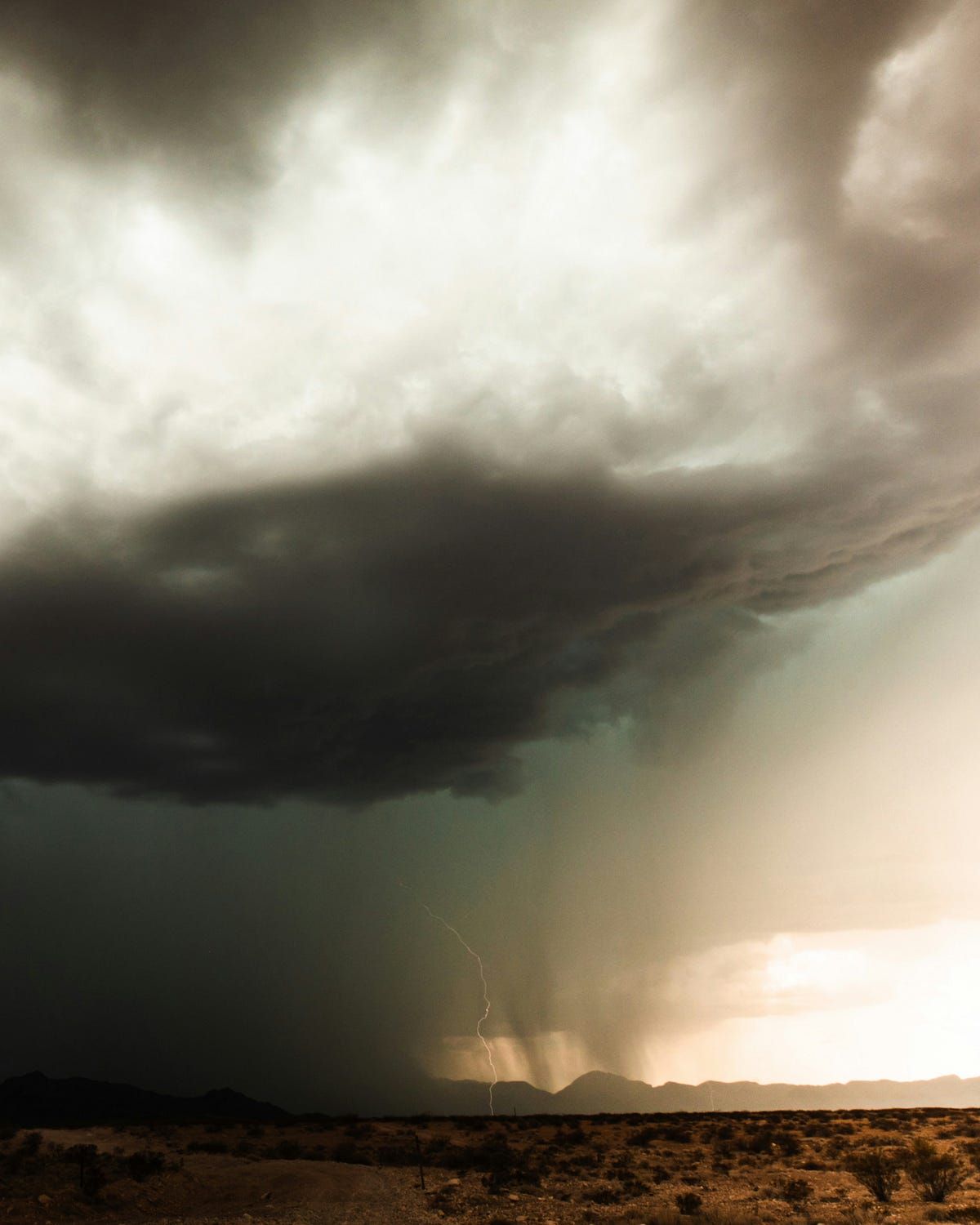 A Rhythmic Wind and Rain Drama. Amid the Arizona Monsoon | by Alize ...