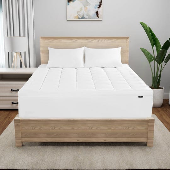 Casper Mattress Toppers by Melanie Wilson DVM Jun, 2024 Medium
