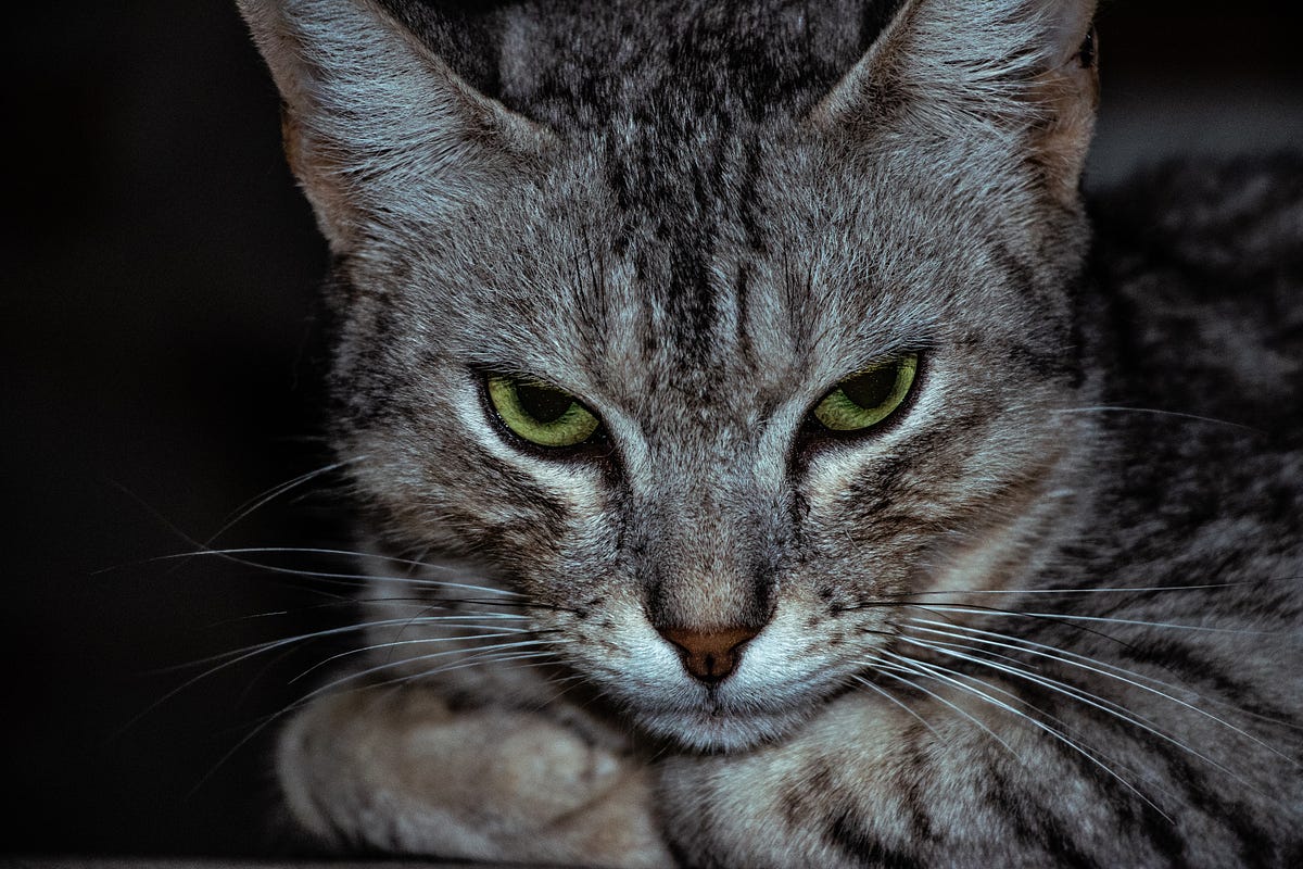 The Ways of Anger. . . . an American Haiku and Explanation | by Beth ...