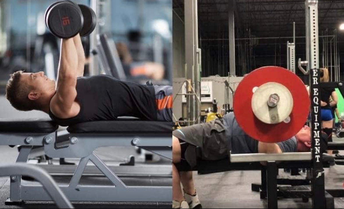 Bench Press vs Dumbbell Press. Which Is Better? by Jayden Pollard