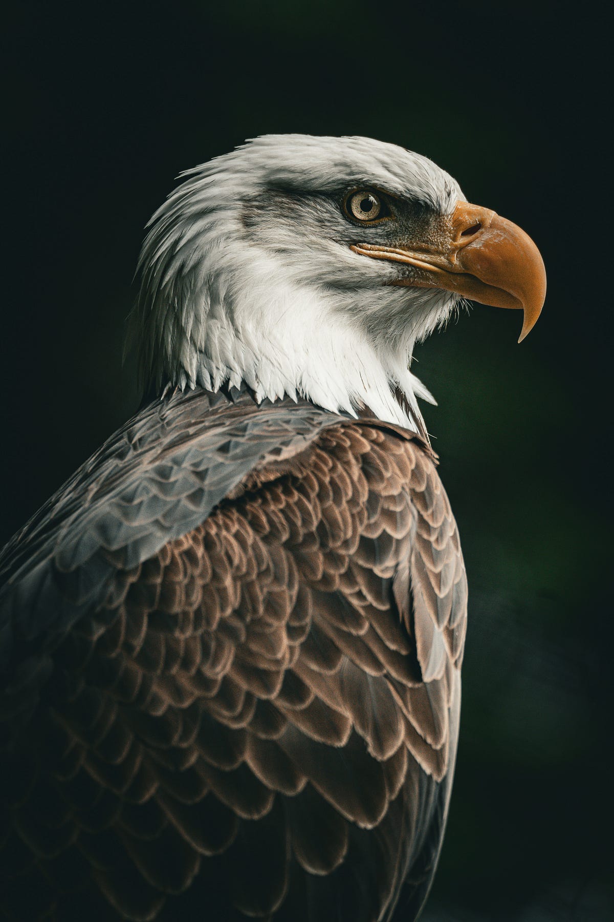 “Knowledge is power.” Scratch that — knowledge applied is power. by