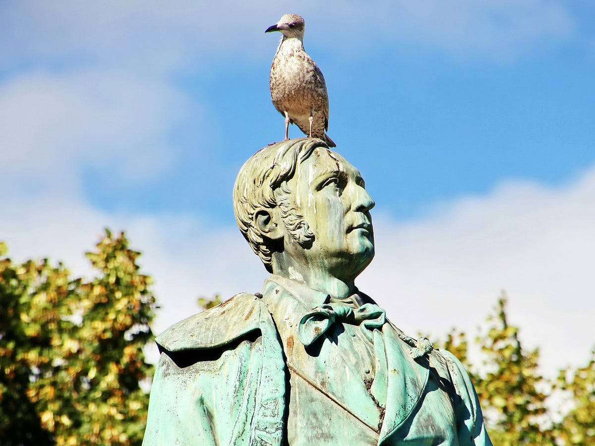Is this Good Luck? A Bird Pooped on My Head by JonesPJ ILLUMINATION