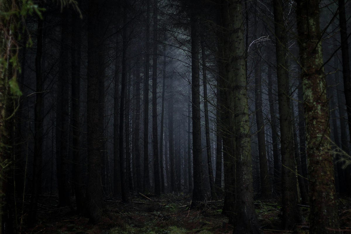 The Trees. A poem in the spirit of Halloween by Rashi Sanghera