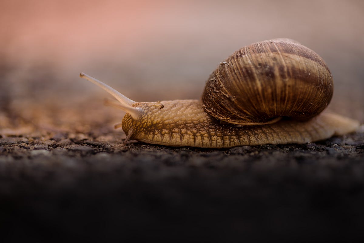How slow is python we all know it is slower than c java by doug