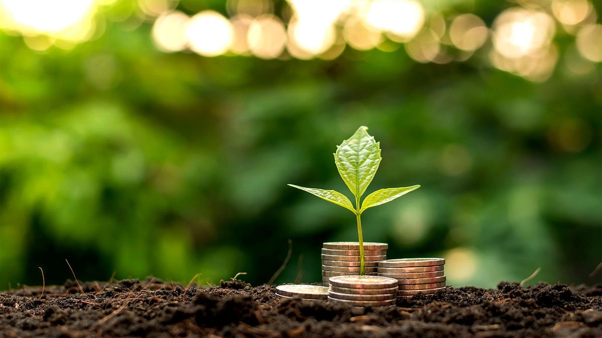 Planting the Seeds of Success  A Beginner's Guide to Seed Money | by  OCTAVIAN PTRACU | Medium