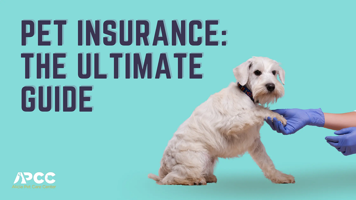 Unveiling the Top Pet Insurance Plans in the US A Comprehensive Guide