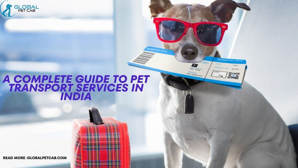 A Complete Guide to Pet Transport Services in India Ensuring Safe and StressFree Travel for