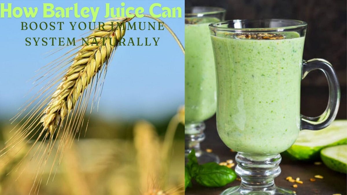 How Barley Juice Can Boost Your Immune System Naturally by kristan