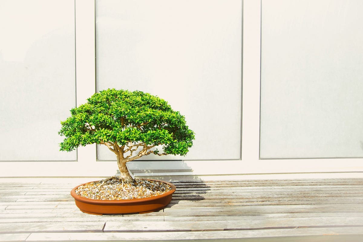 Why it’s important to do less. Doing less is just as important as… | by ...