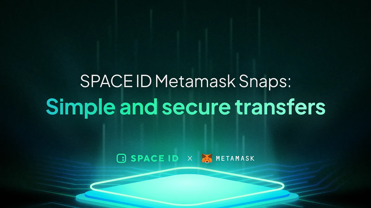 Simplified Crypto Transactions: SPACE ID Domain Snap Goes Live on MetaMask  | by SPACE ID | Medium