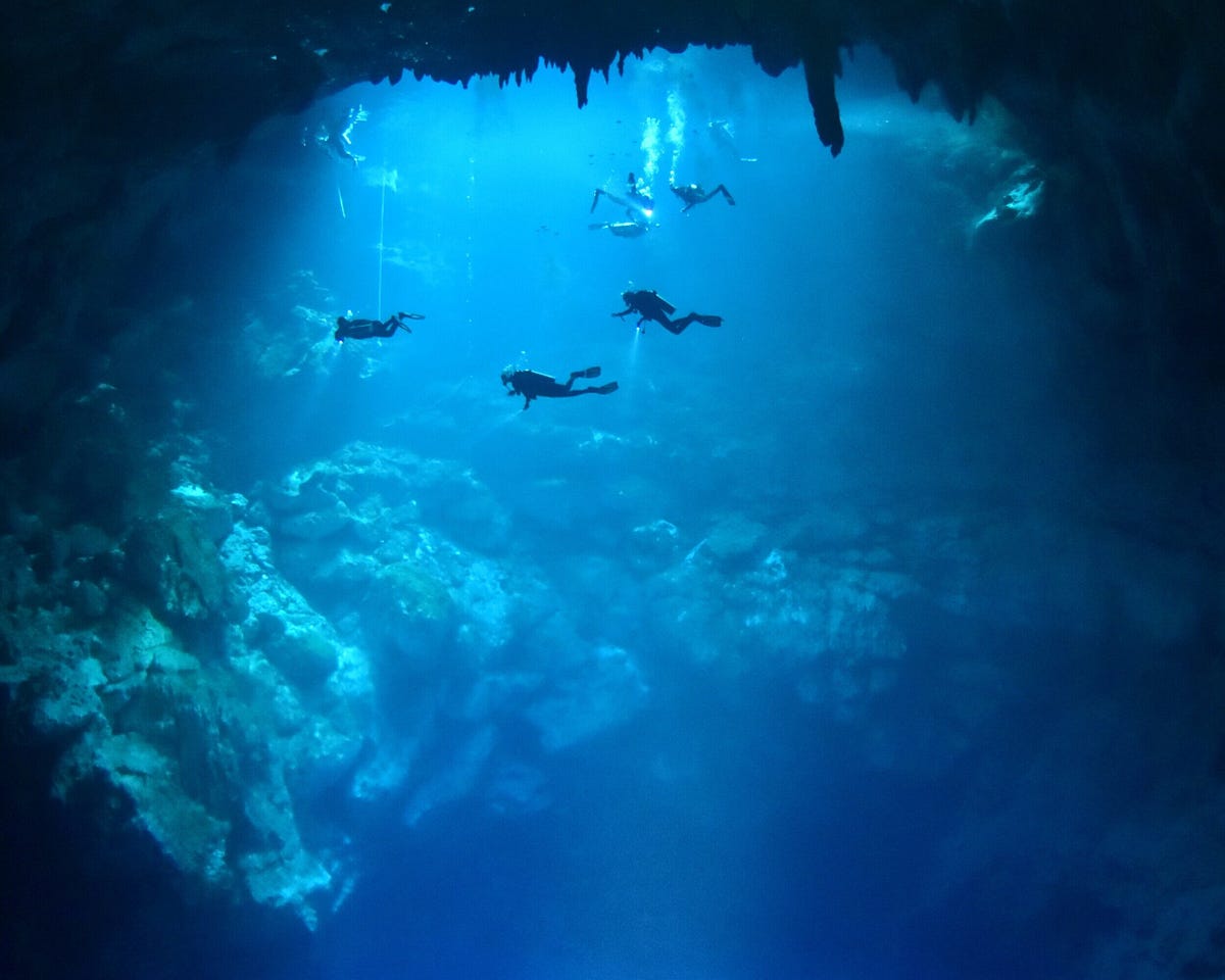 Exploring the Depths: Unveiling the Best Diving in Tulum with Go Dive 