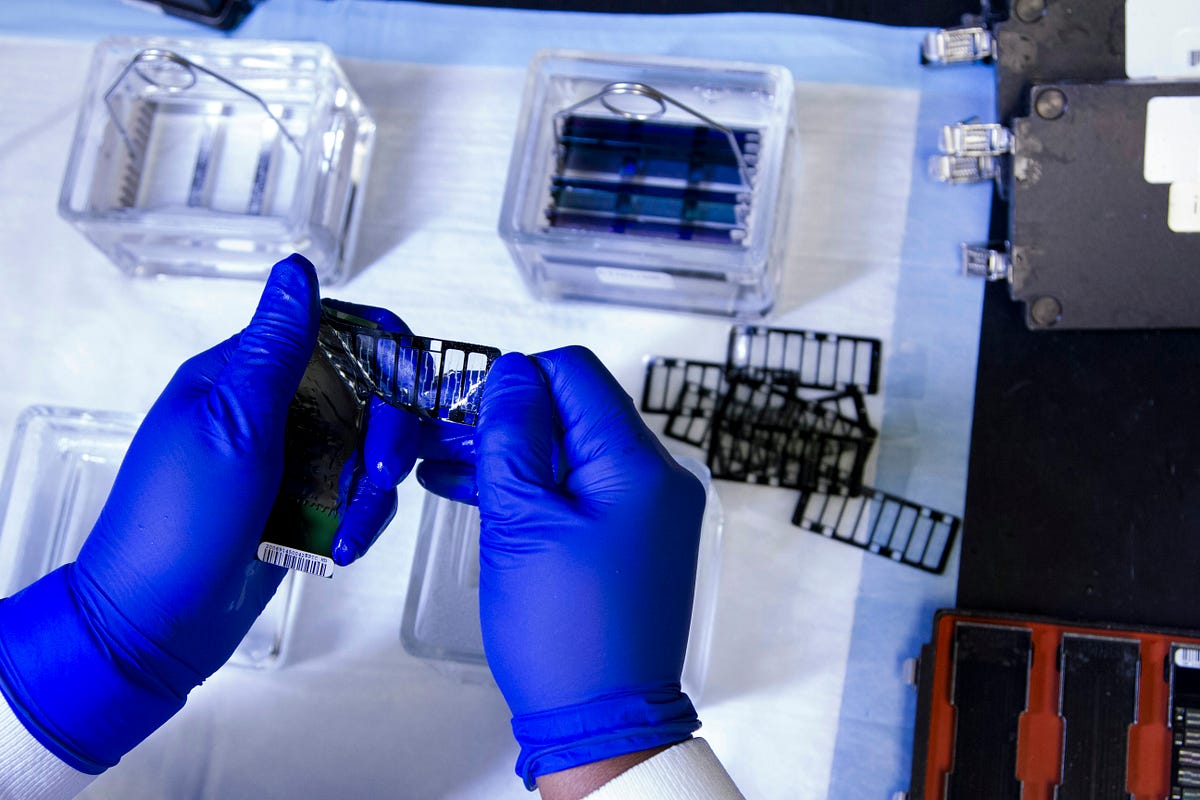 The Biology of Tomorrow. We’re Not Just Building Technology | by ...