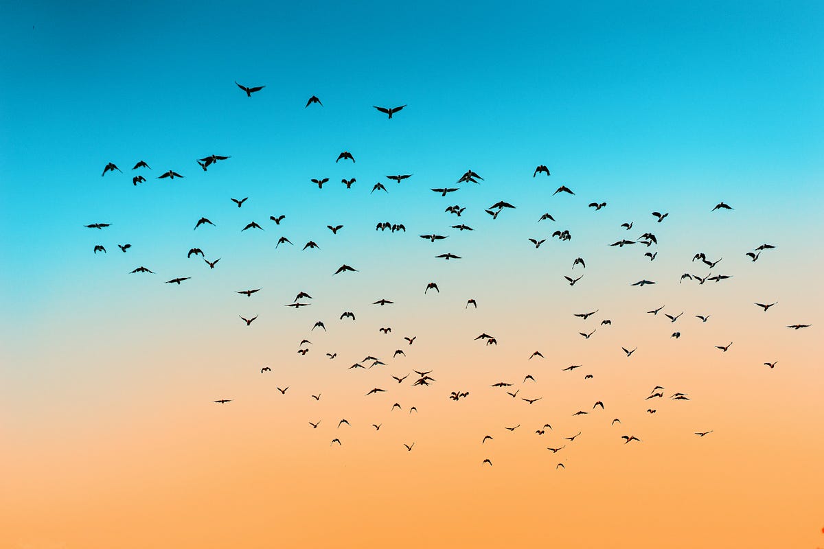 The safest decision is rarely the right one