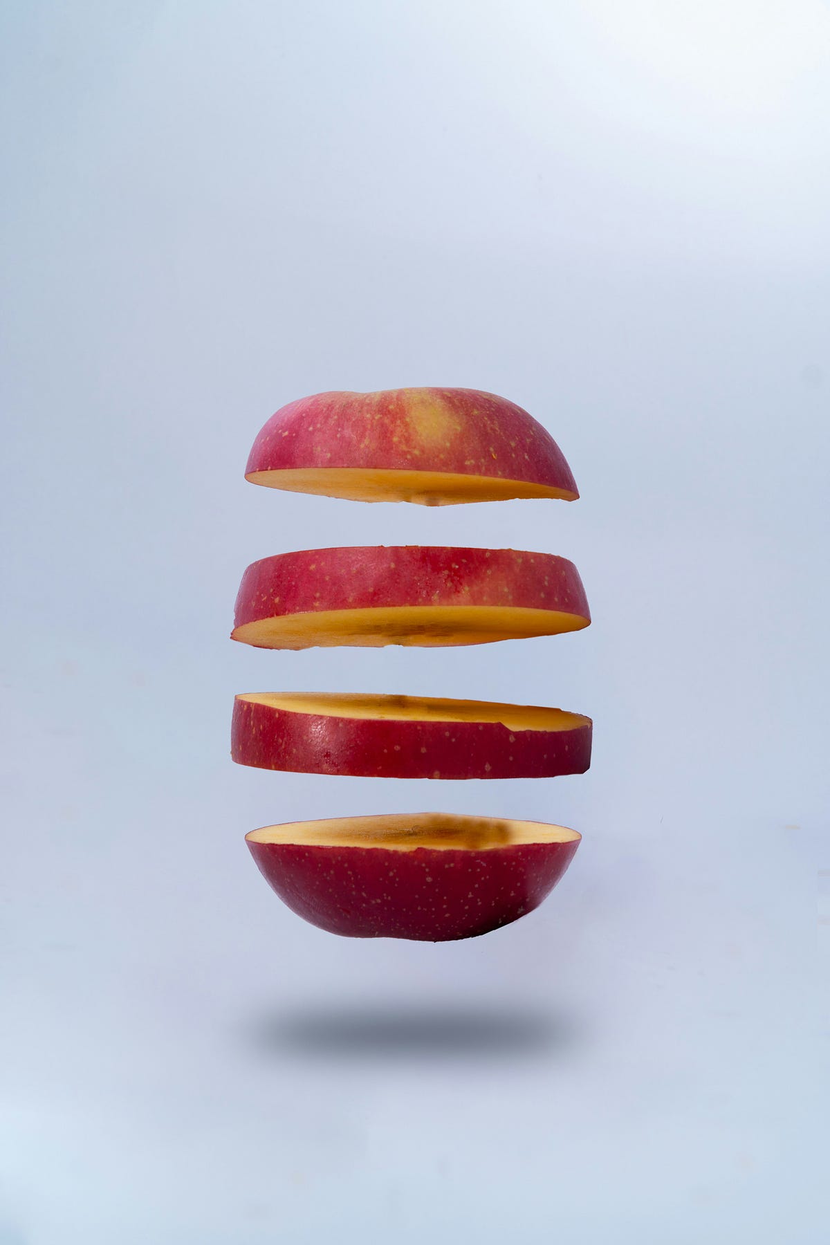 Bit Slicing CPUs. One of the finest examples of creative… | by Assembly ...