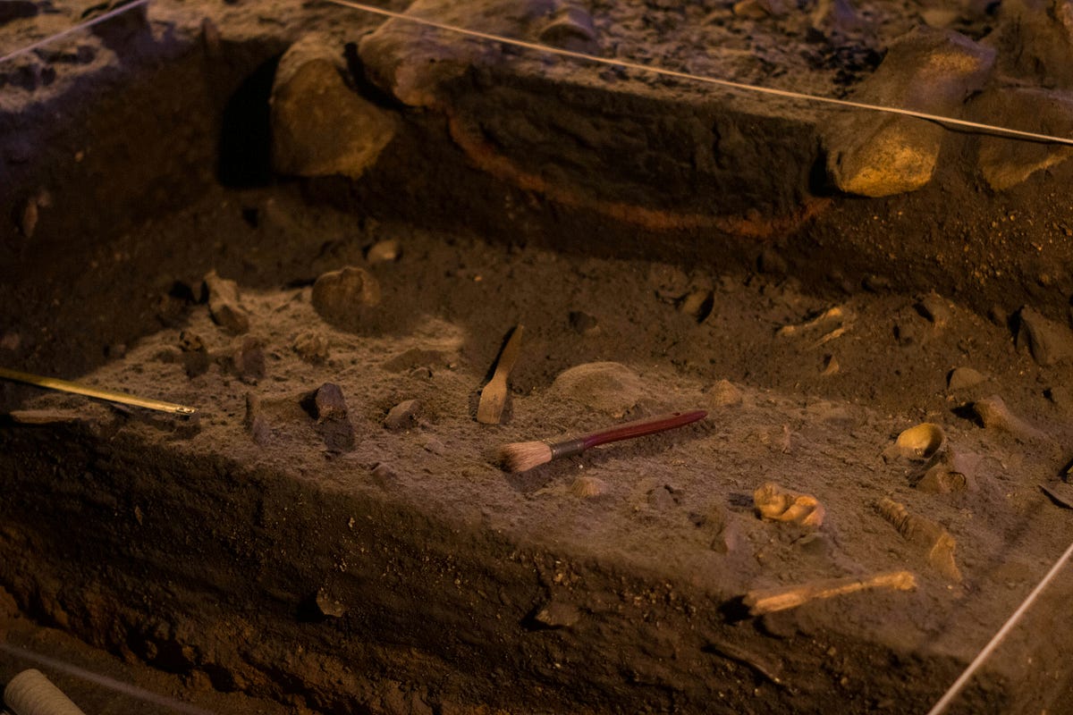 Unearthing the Past: A Look Back at the History of Ancient Archaeology 
