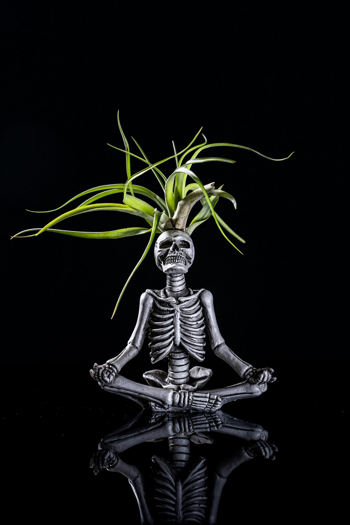 Skeleton of Java Program. “Ever wondered how Java programs are… | by ...