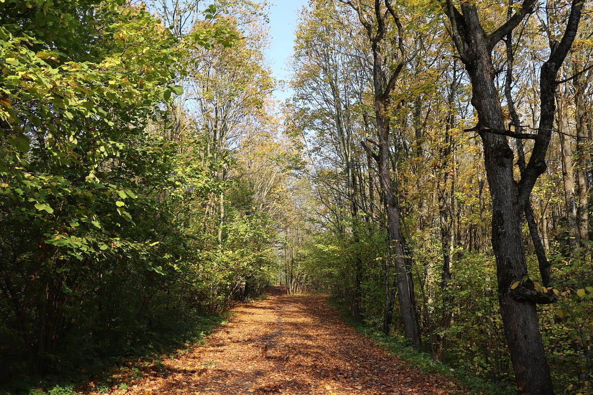 Get the Week of the Year of a Given Date in JavaScript | JavaScript in ...