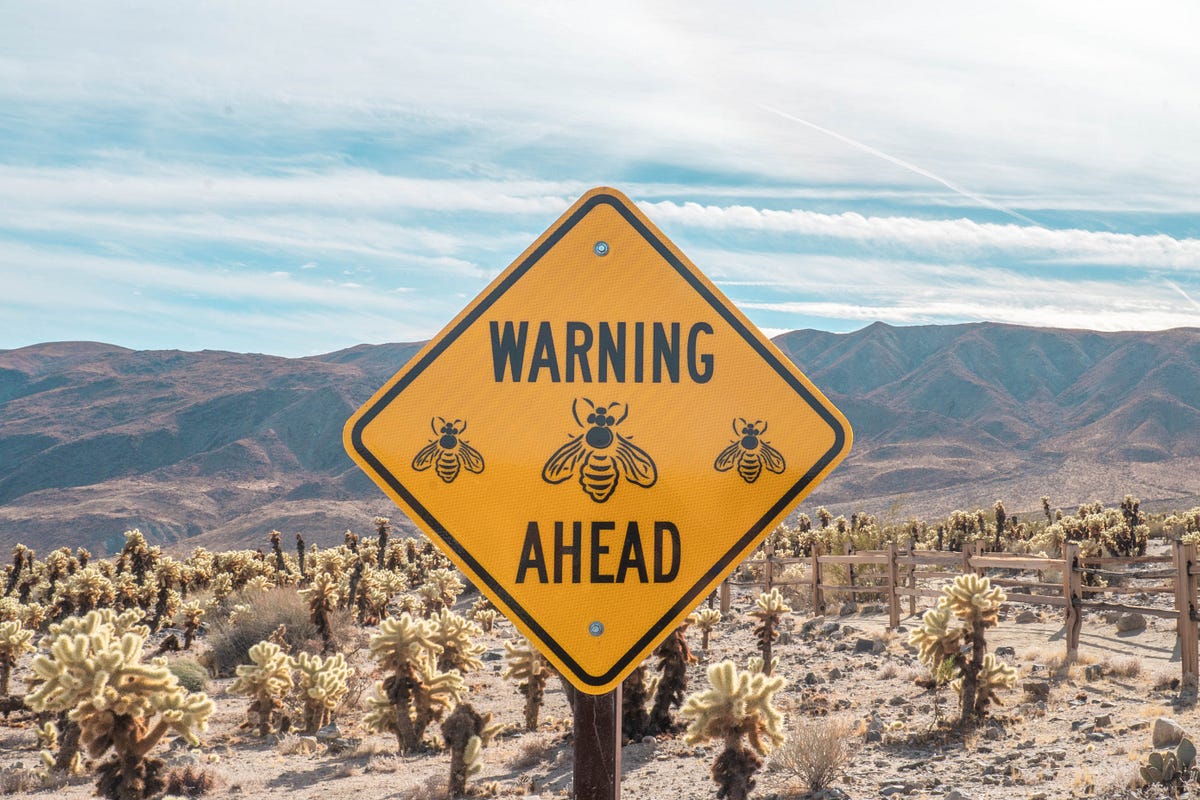 Monition. An “ad free” warning | by Avi Kotzer | Silly Little ...
