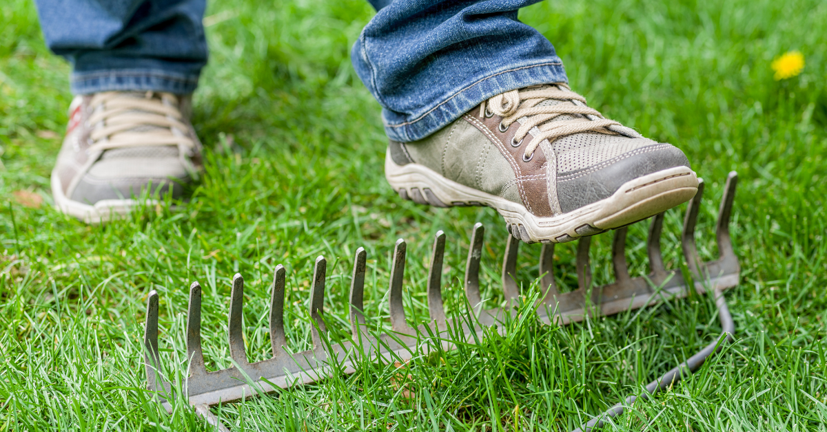 11 Most Common Reasons Your Feet Hurt [and how to fix them!] by Dan