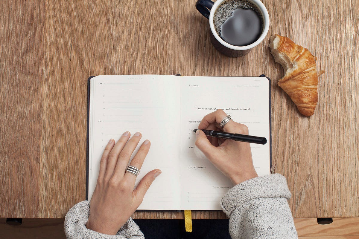 Amazon.co.jp: Writing Essays - Updated edition: From