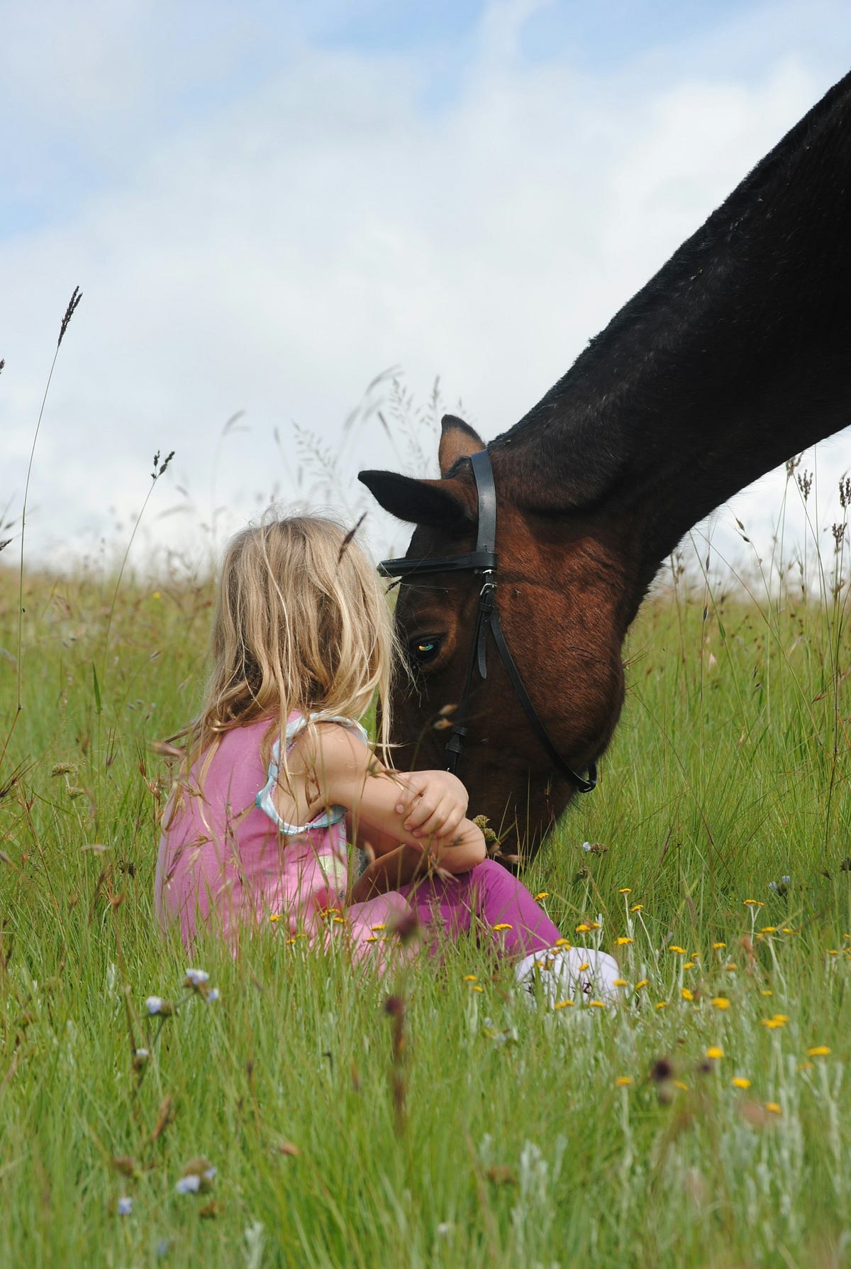 Sensitive Friends. A Reflection on PTSD's Impact in Our… | by Winter ...