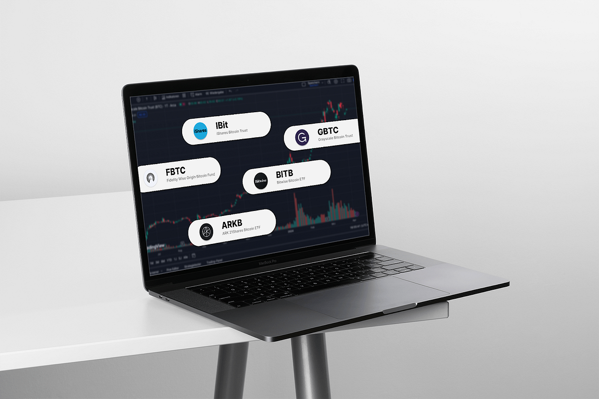 Evaluating the impact and future role of Bitcoin Spot ETFs after 5 months  of trading | by Frankfurt School Blockchain Center | Medium