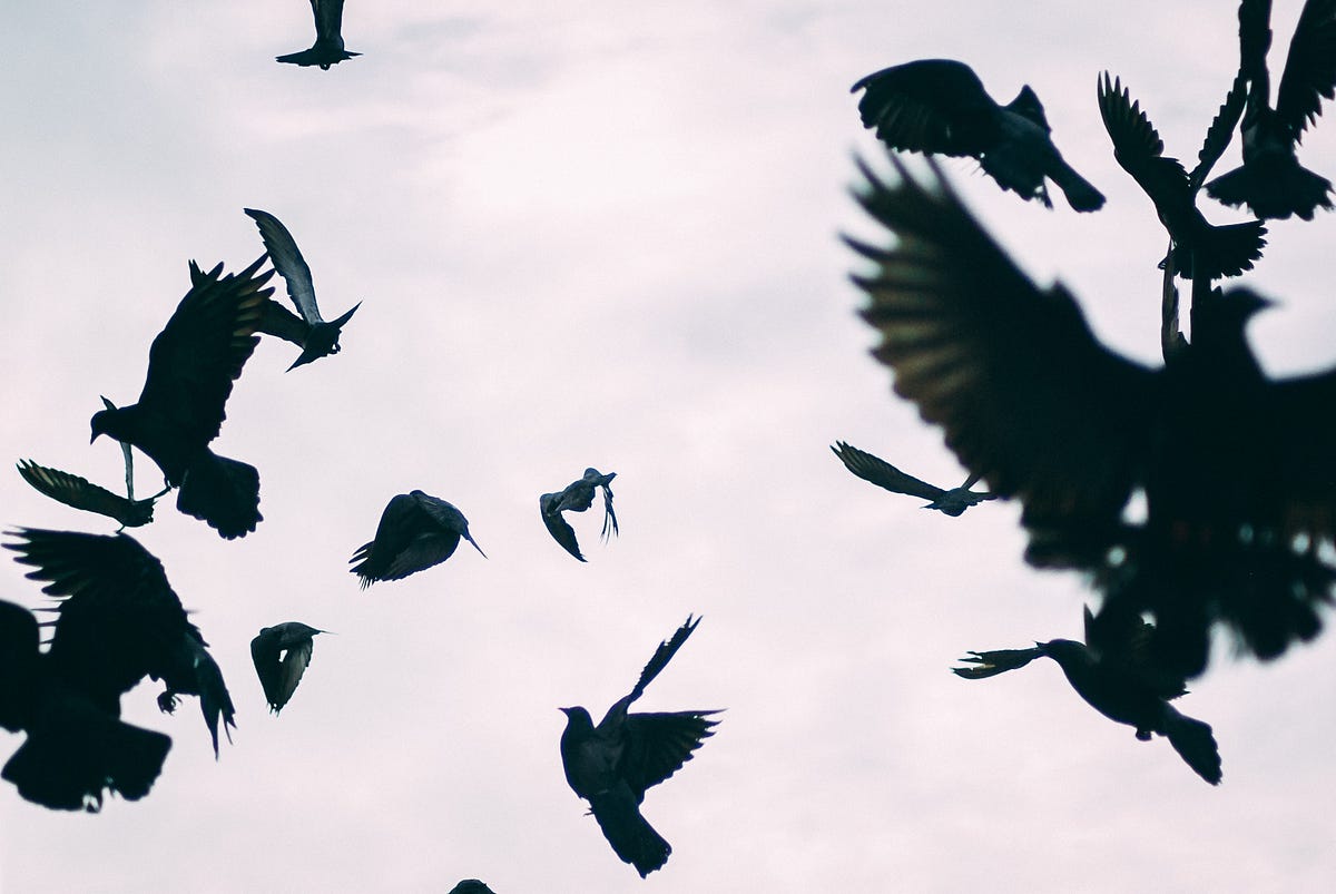 Revisiting the Death of Data Science | by Brandon Cosley | Dec, 2023
