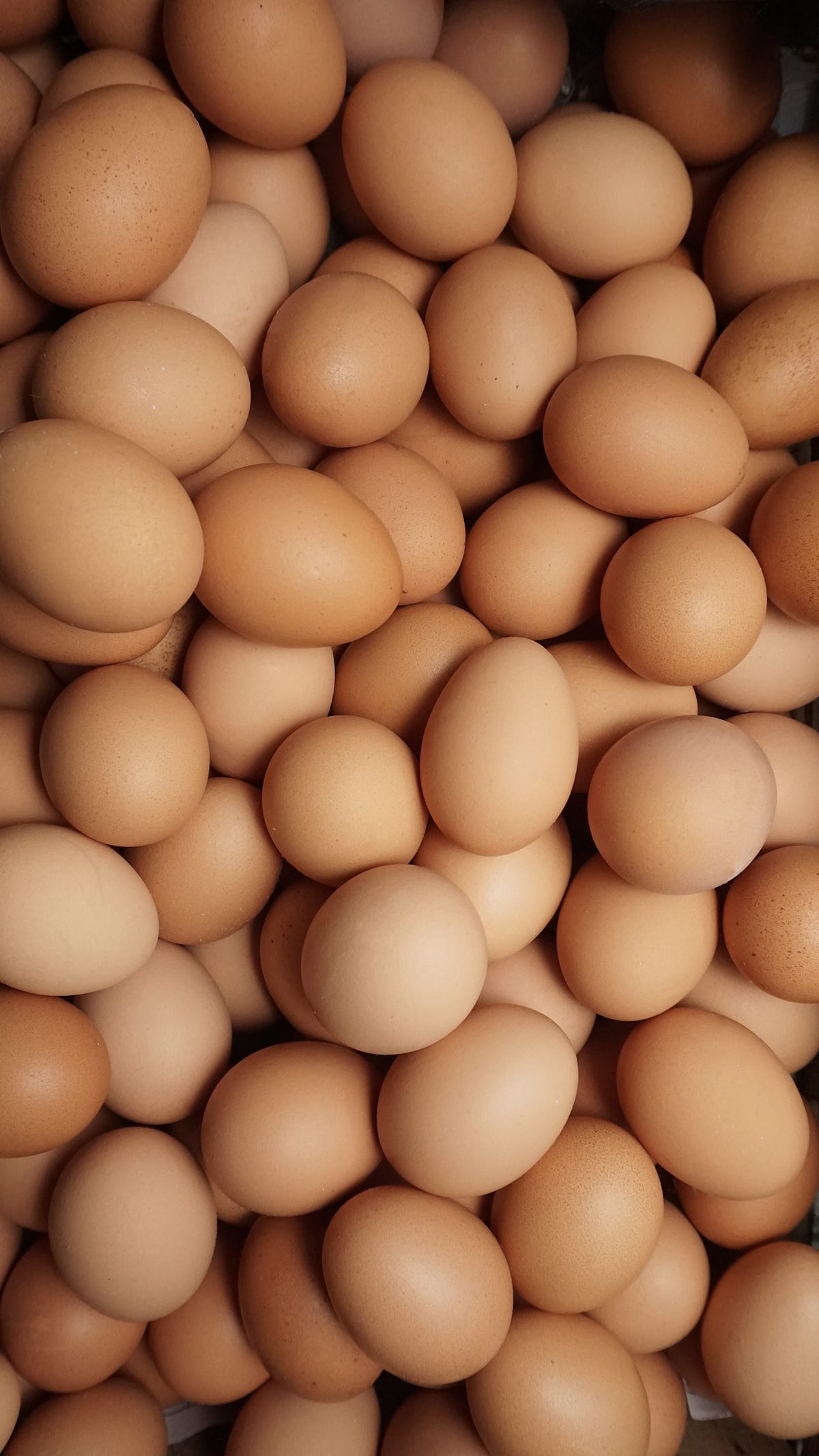 Why Eggs Should Be a Staple in Your Diet Health and Nutritional