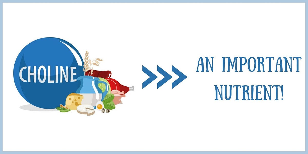 Choline — An important nutrient! Uyir Organic Medium