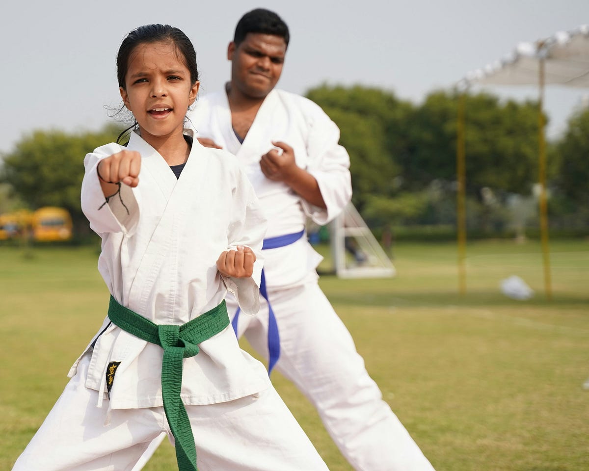 Martial Arts in PE Class?