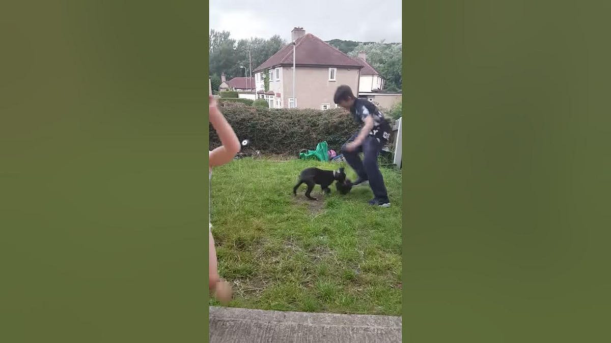Watch Lexi Bonner got jumped vile girl leaked video by Nudhou May, 2024 Medium