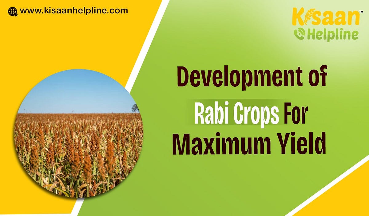 Development of Rabi Crops For Maximum Yield by Kisaan Helpline Medium