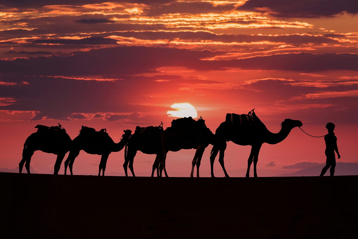 Morocco Desert Tours Finding the Best Travel Agencies for Your