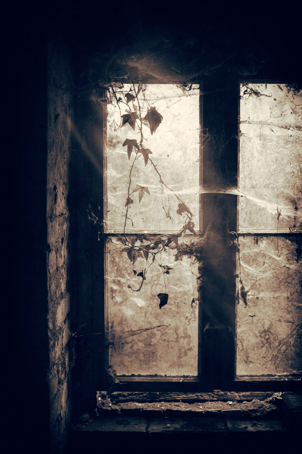 Rain Songs and Shadows On the Brink of Everything by