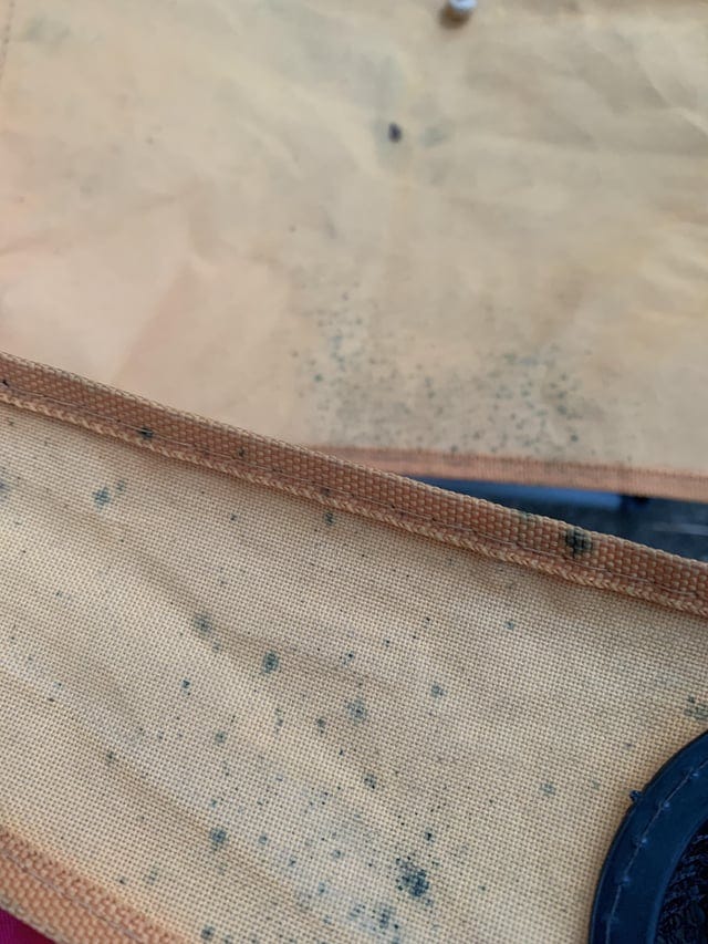 How to Clean Camp Chairs Easy and Effective Tips by Sarah Williamson