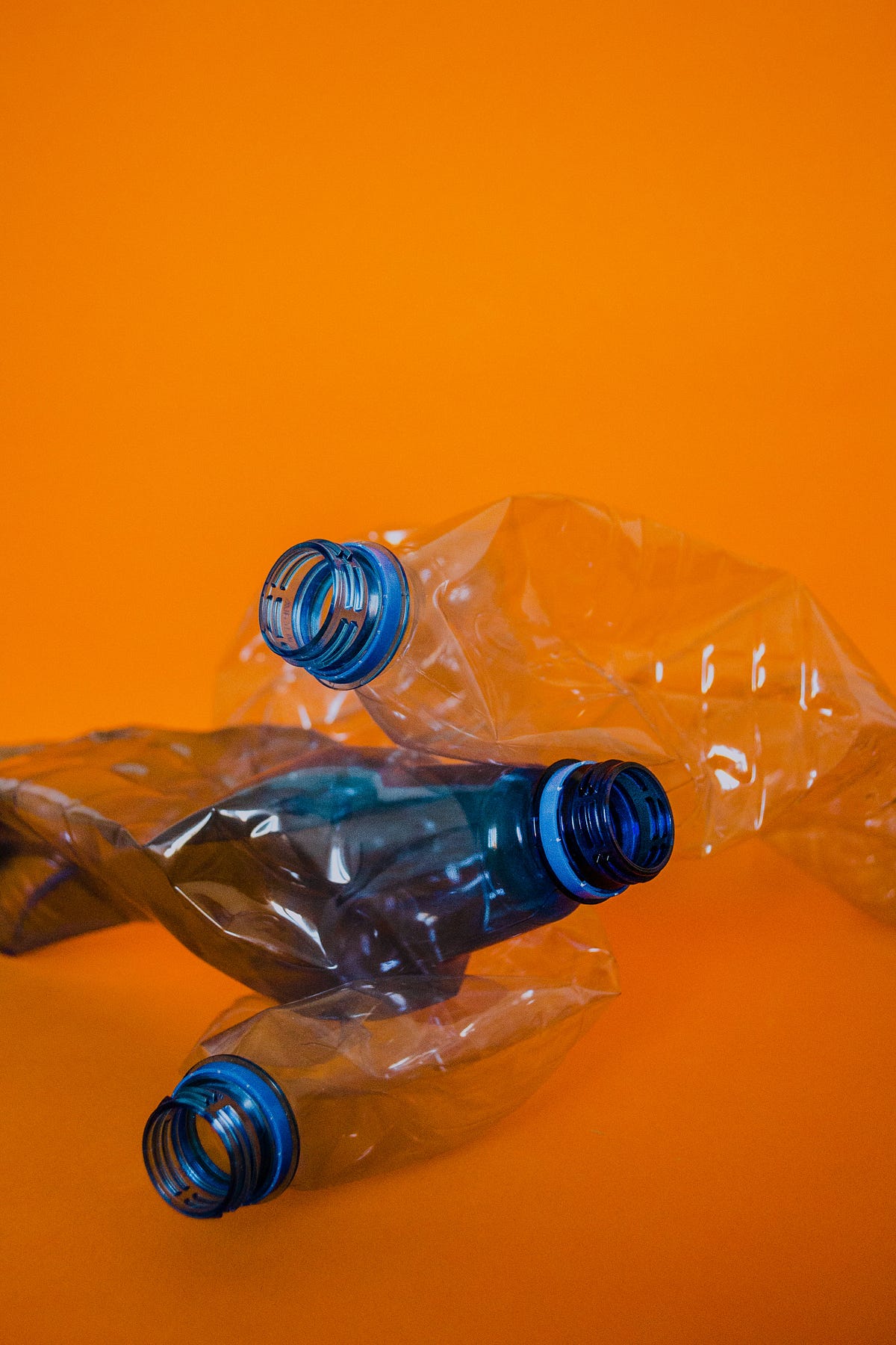 The Plastic Bottle —Learning About Litter &amp; Responsibility