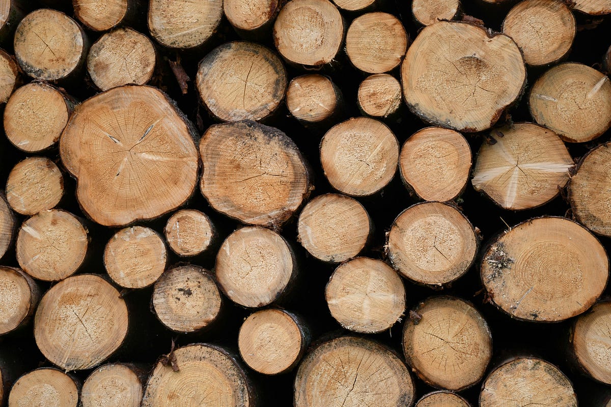 Logging in Django. Unlock the power of logging in 