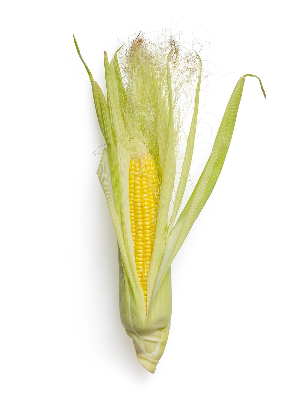 Is Corn Good For You? Let’s Find Out! The Road to Wellness