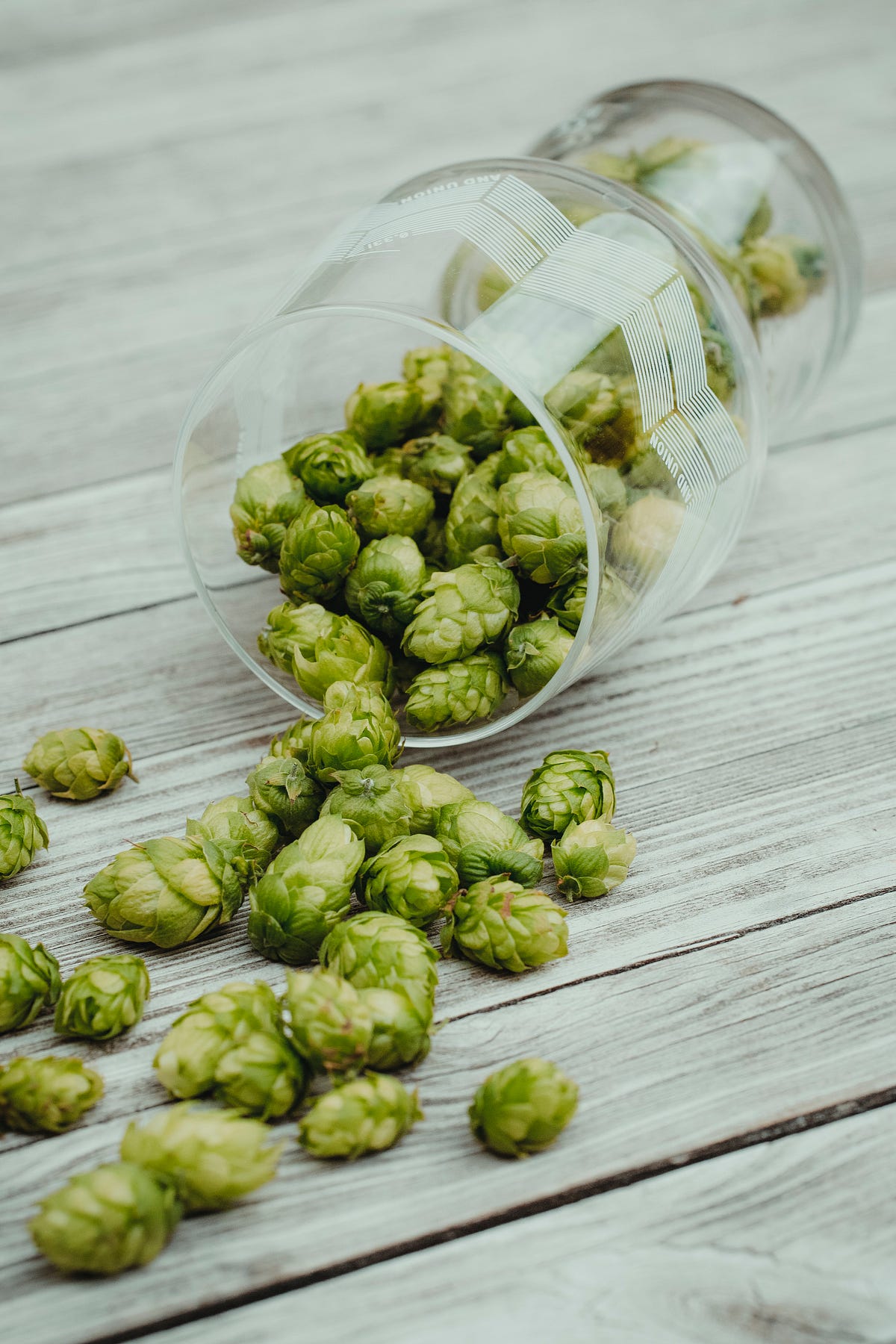 The Top 5 Flagship IPAs in Vermont by Will Mayer Medium