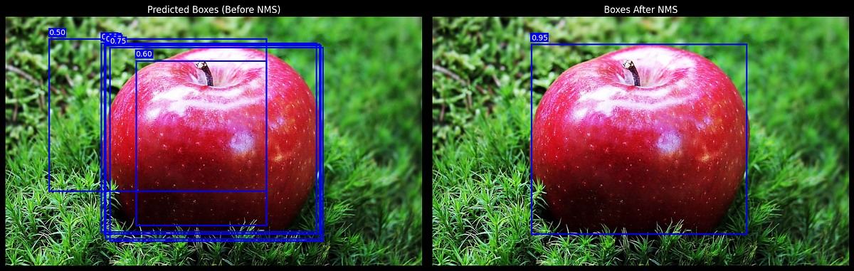 A Python Guide to Reducing Overlapping Bounding Boxes | by Brian Hulela ...