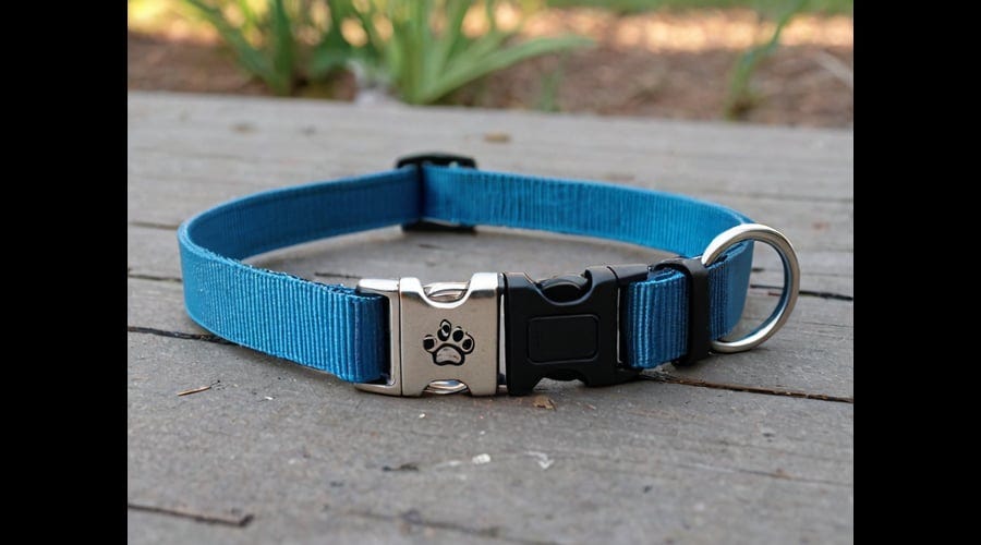 Cheap Dog Collars by Arya Hill Mar, 2024 Medium