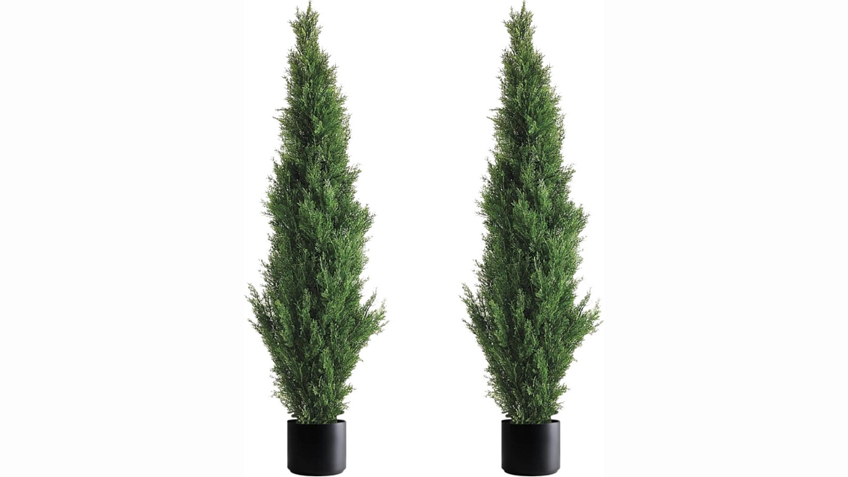 Best looking Artificial trees — Buyer’s Guide by Artificial Decor