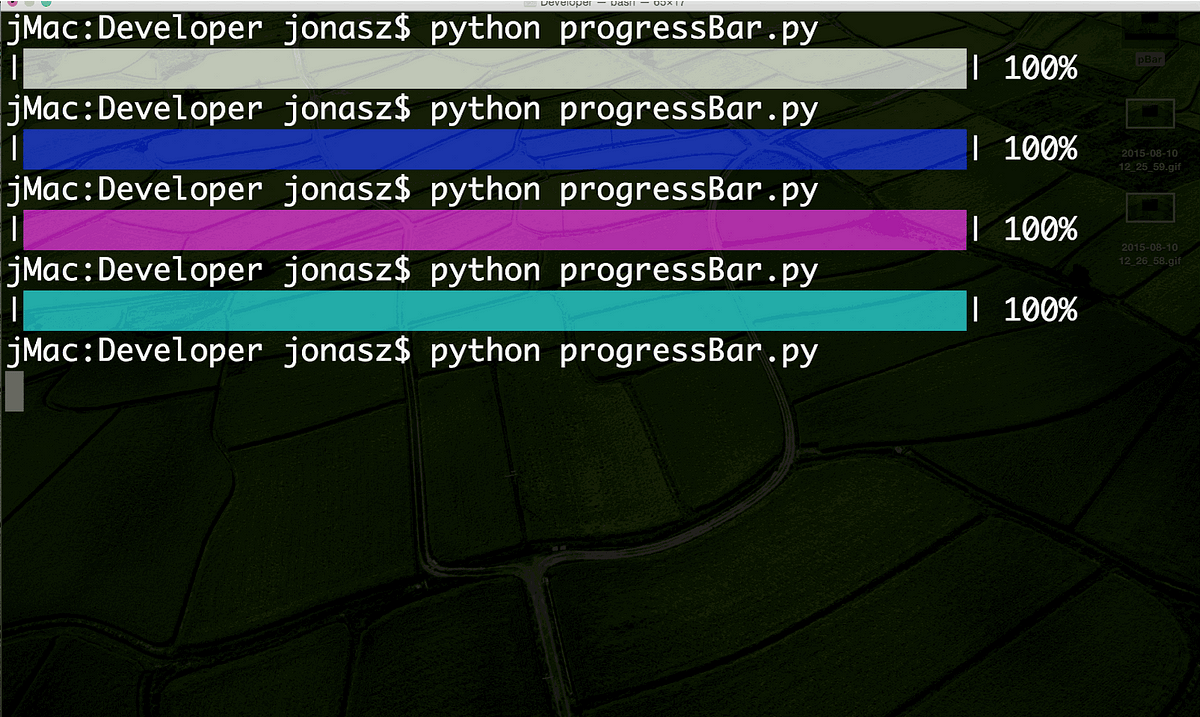 Build a Python progress bar for Terminal | by erin | Word Wad Web