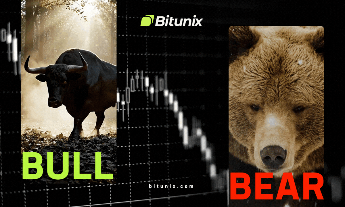 Why Markets Are Called Bull and Bear? | Medium