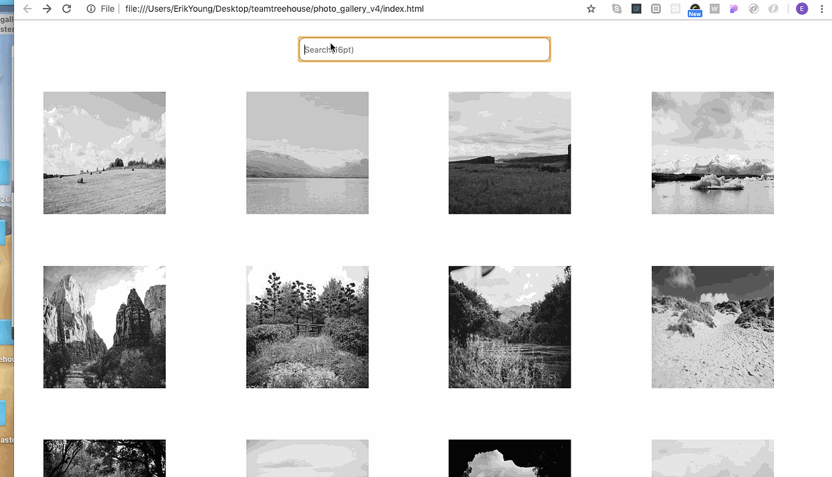 How to Filter Images in a Photo Gallery Using JavaScript/Jquery | by ...