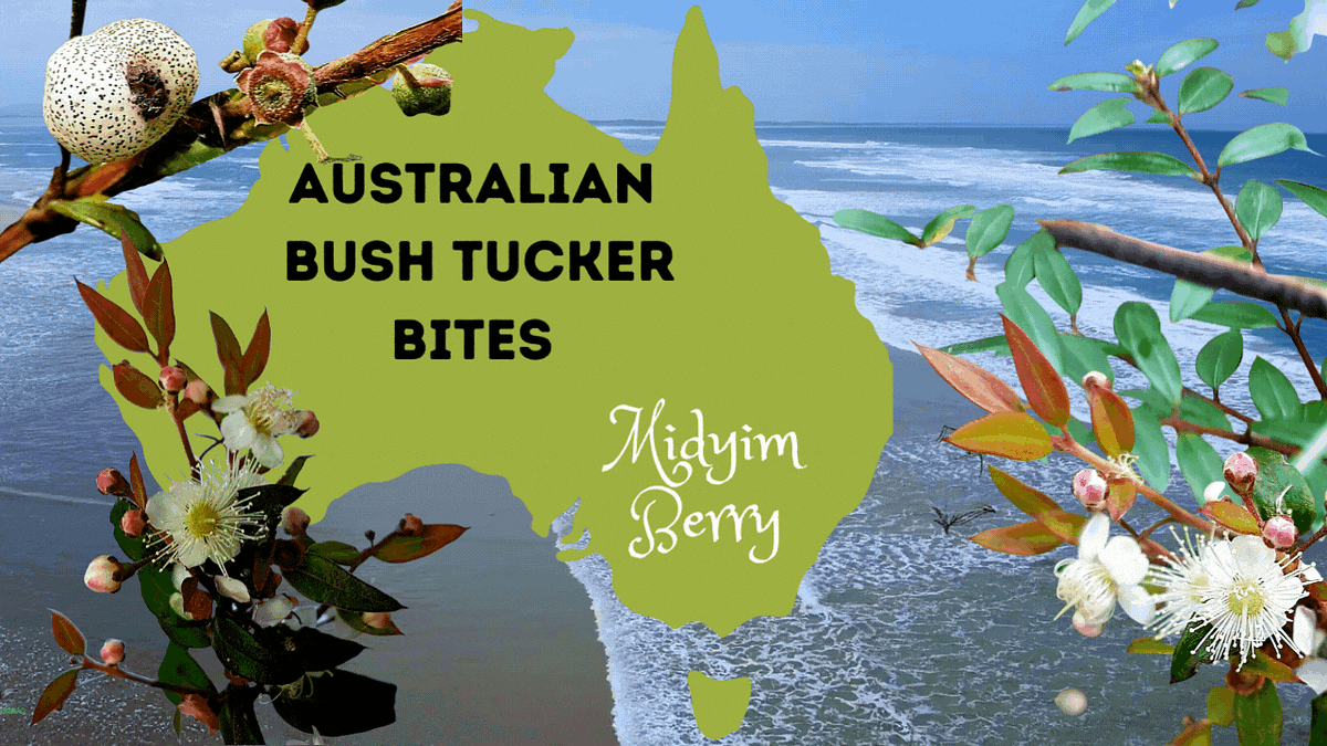 Australian Bush Tucker Bites presents Midyim Berry (Austromyrtus dulcis