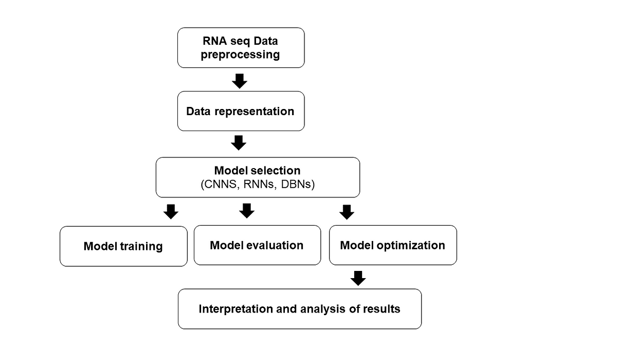 How To Use Deep Learning In Rna Seq Data Analysis By Nzungize Lambert How To Use Deep Learning In Rna Seq Data Analysis By Nzungize Lambert